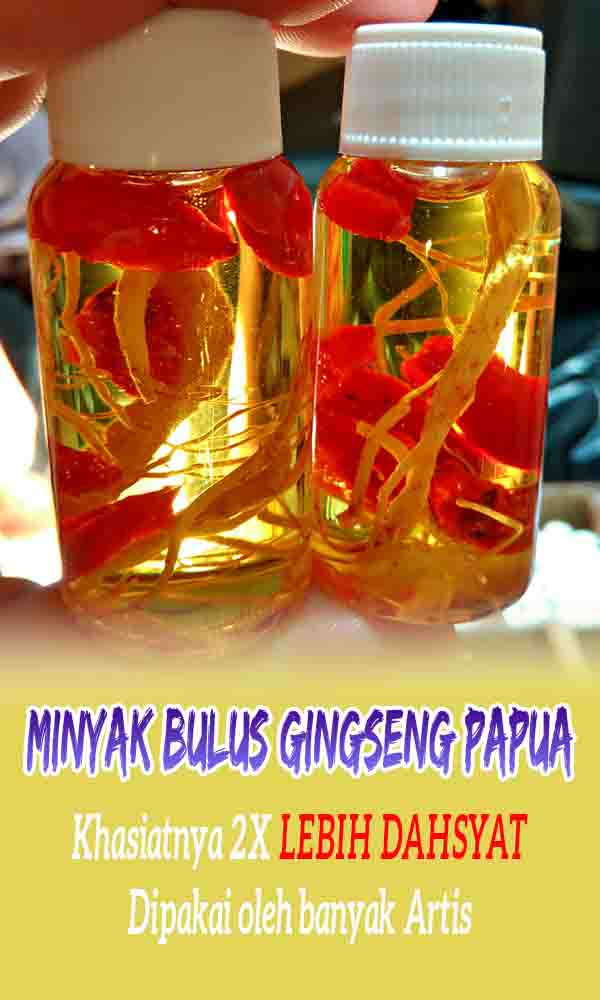 Minyak Bulus Gingseng Papua Doube