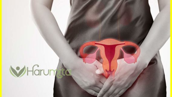 Apakah VGRIT Serum Aman Untuk Vagina